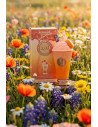 Perfume Delicious Naranja